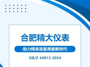 GB/Z 44813-2024l(f)Ϸʾxy